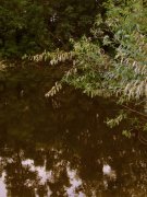 IMG_2040_resize.jpg
