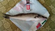 2013-06-02_08-46-03_781.jpg
