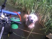 IMG_20130602_122437.jpg