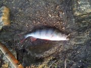 20130602_192652-1.jpg