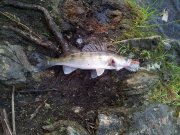 20130602_190102-1.jpg