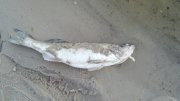 2013-06-02_20-28-20_292.jpg