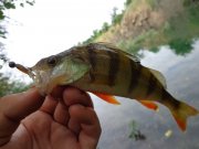 DSC01143.JPG