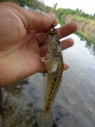 DSC01147.JPG