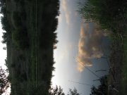 IMG_1675.JPG