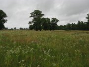 IMG_4281.jpg