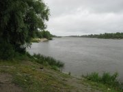 IMG_4284.jpg