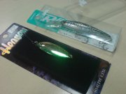 DSC00339.JPG