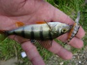 IMG_3589.jpg