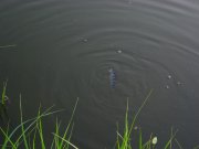 IMG_4742.jpg