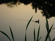 IMG_4749.jpg
