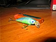 IMG_2372.JPG