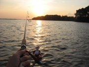 IMG_1212.JPG