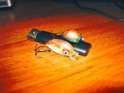 IMG_2373.JPG