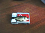 IMG_2407.JPG