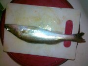 05062013301.jpg