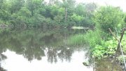 2013-06-06_09-18-07_841.jpg