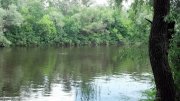2013-06-06_12-56-20_157.jpg