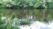2013-06-06_12-56-26_34.jpg