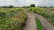 2013-06-06_13-06-16_958.jpg