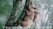 Мясо.jpg