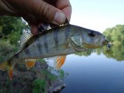 DSC01152.JPG