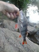 2013-06-09 19.25.59.jpg
