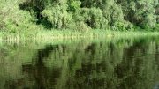 2013-06-10_18-10-04_559.jpg