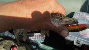 2013-06-10_16-43-32_949.jpg
