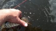 2013-06-10_16-44-07_96.jpg