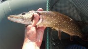 2013-06-10_17-57-02_150.jpg