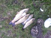 IMG_20130609_160142.jpg