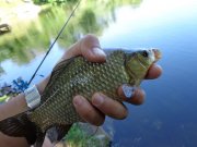 DSC01176.JPG