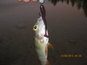 IMG_0601.JPG