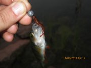IMG_0602.JPG