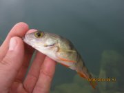 IMG_0604.JPG