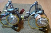 DSC02347.jpg
