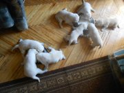 DSCN2924.JPG