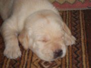 DSCN2922.JPG