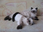 IMG_4730.jpg