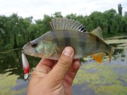 DSC01184.JPG