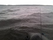 IMG_20130616_124525.jpg