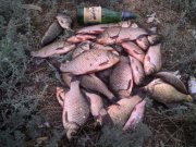 IMG_20130616_134438.jpg