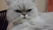SAM_0683.JPG