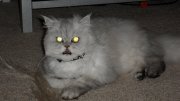 SAM_0720.JPG