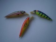 P6100049.JPG