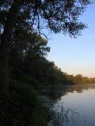 IMG_2093_resize.jpg