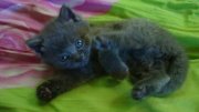 DSC00089.JPG