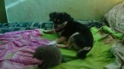 DSC00098.JPG