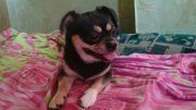 DSC00104.JPG